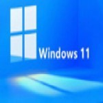 windows11  4.3.8