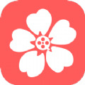 樱花视频编辑app  v1.1
