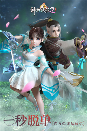 神雕侠侣2网易版