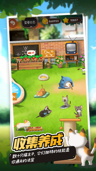 猫语咖啡无限金币星星内购破解版