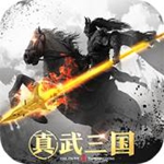 真武三国星耀bt版