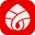 APP׿