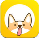 日常小打卡APP