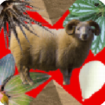 η