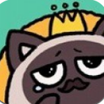 猫国王的请求