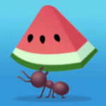 ţ