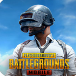 pubg  v1.31.12 ʷ