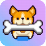柯基快跑 v1.0.5 安卓版
