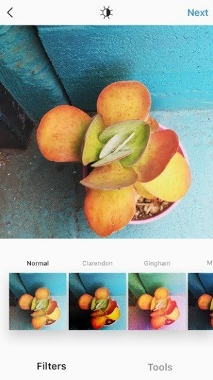 ins׿IOS