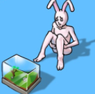 ˮ䰲׿  1.45
