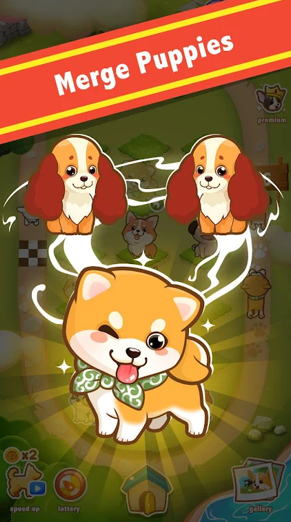  ϲ°ƻ