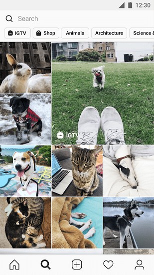 instagramIOS