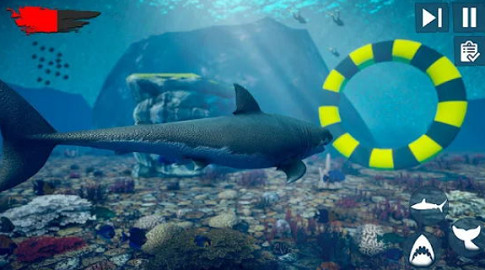 ŭľ(angry shark)׿