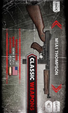 ʵģww2