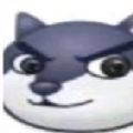 ͷս2021(޹ͷ)