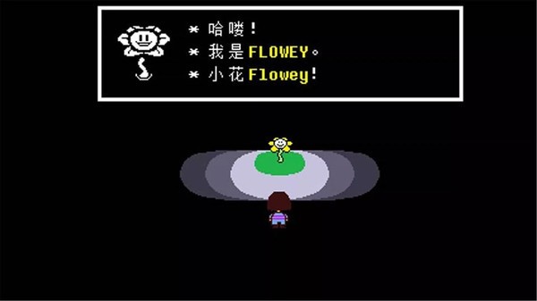 ˵֮ƽ氲׿