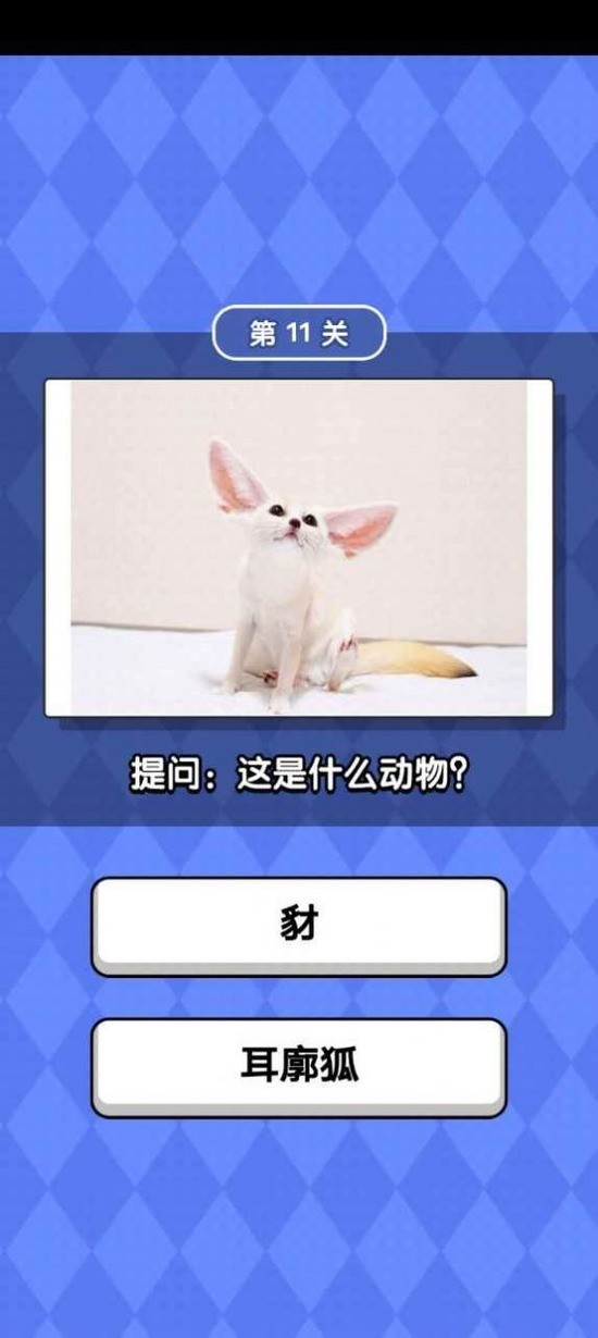 ﻬְ׿