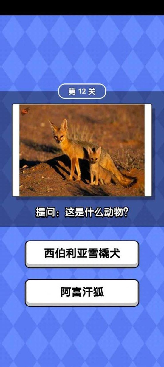 ﻬְ׿ƻ