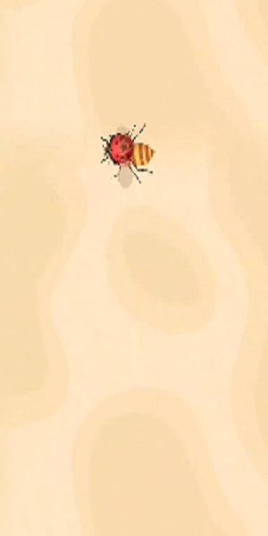 ٻϷ