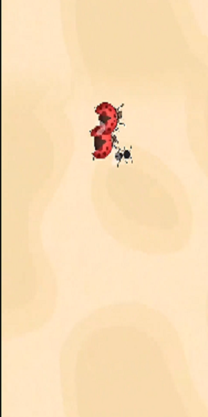 ٻϷ