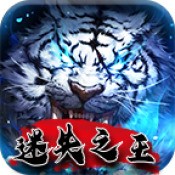 迷失之王单职业
