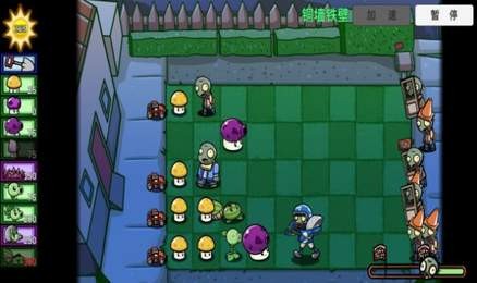 pvz-btС°ƻ