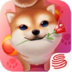 小汪汪