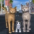 流浪猫模拟器破解版
