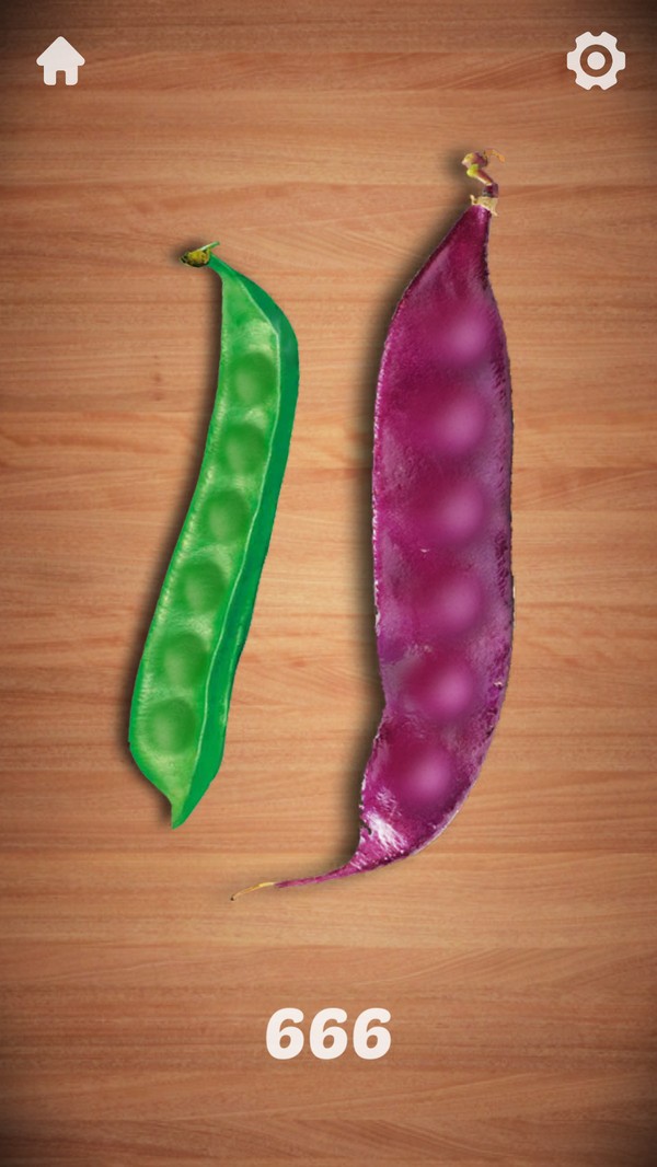 ѹħСϷƻ